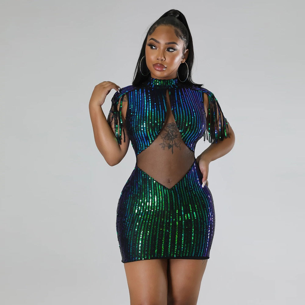 Did someone say birthday dress!! Mesh Sequin Dress