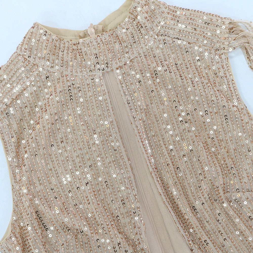 Did someone say birthday dress!! Mesh Sequin Dress