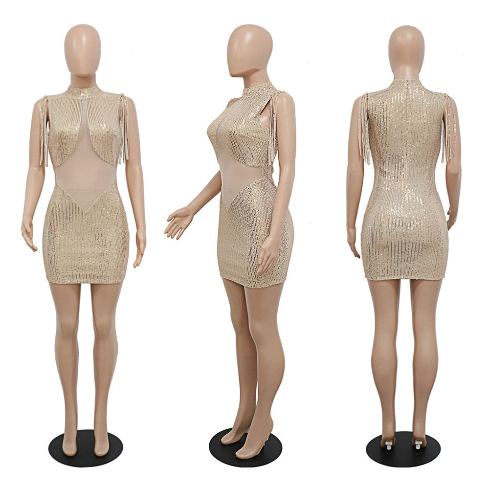 Did someone say birthday dress!! Mesh Sequin Dress