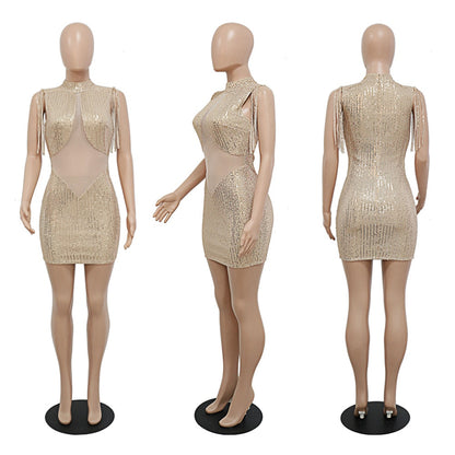 Did someone say birthday dress!! Mesh Sequin Dress